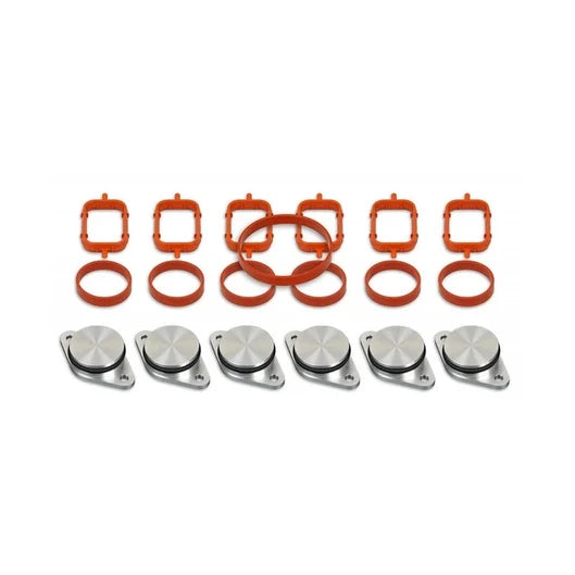 KIT DE SUPPRESSION DES CLAPETS D'ADMISSION M57
